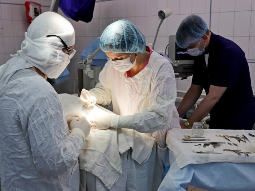 Делегации стоматологов и врачей профиля «челюстно-лицевая хирургия» прибыли в Zабайкалье